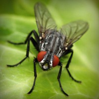 /album/childzapum/photolia-a01-jpg/