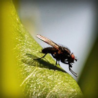 /album/childzapum/photolia-a04-jpg/