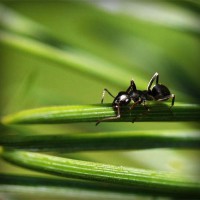 /album/childzapum/photolia-a05-jpg/