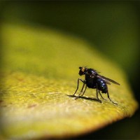 /album/childzapum/photolia-a07-jpg/