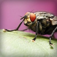 /album/childzapum/photolia-a08-jpg/